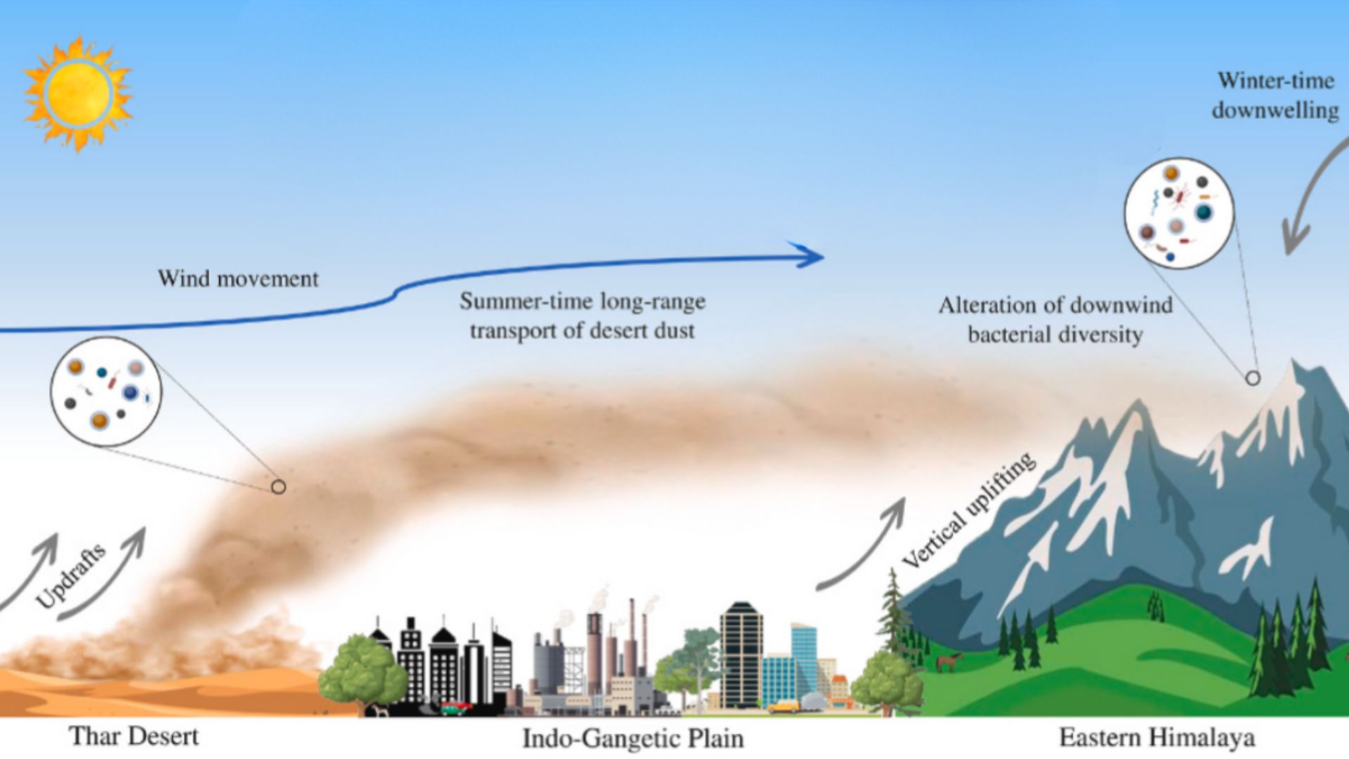 Airborne invasion: Dust highways carry bacteria from the Thar Desert to the Himalayas